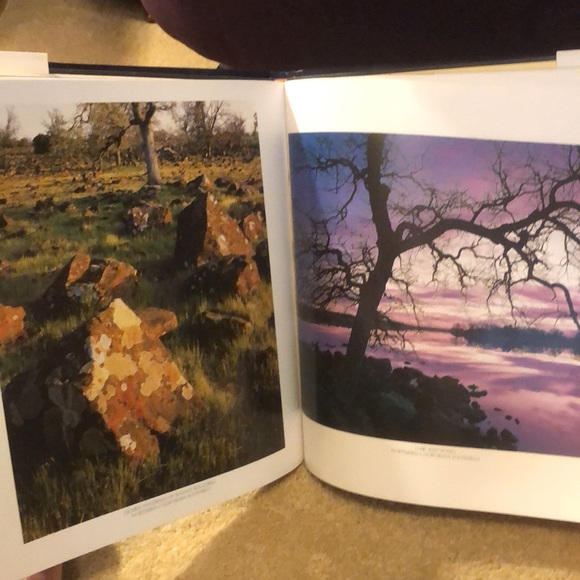 WILD & SCENIC CALIFORNIA THE NATURAL LANDSCAPE • PHOTOGRAPHY BY CARR CLIFTON - Picture 8 of 17